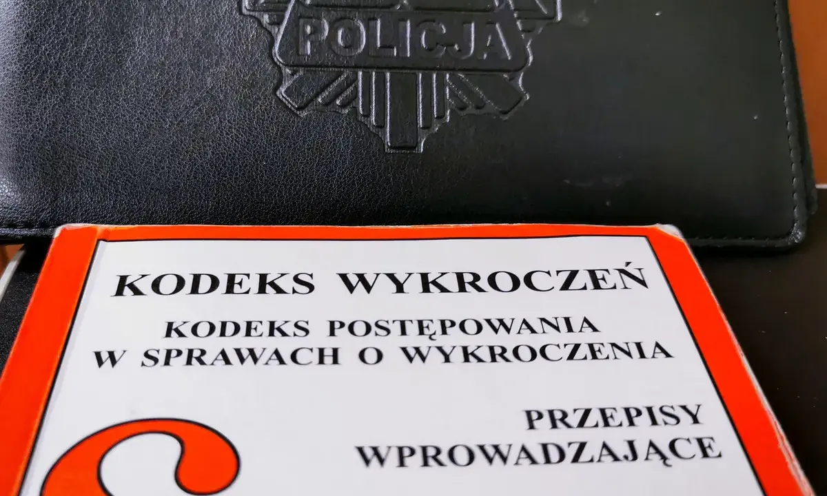 Postępowanie o wykroczenia: Policja, mandat, sąd Twój przewodnik