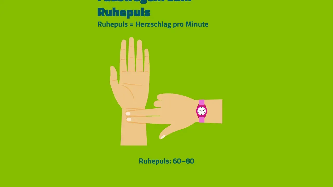 Ein Finger tastet den Puls am Handgelenk. Der Ruhepuls ist wichtig für den Alltag.