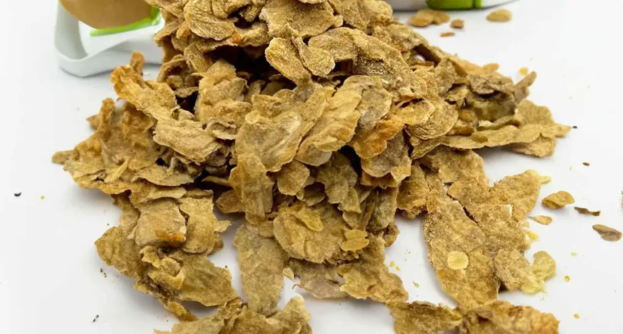 Un mucchio di cicoli, croccanti e dorati, pronti per essere gustati. Scopri cosa sono i cicoli e la loro bontà.