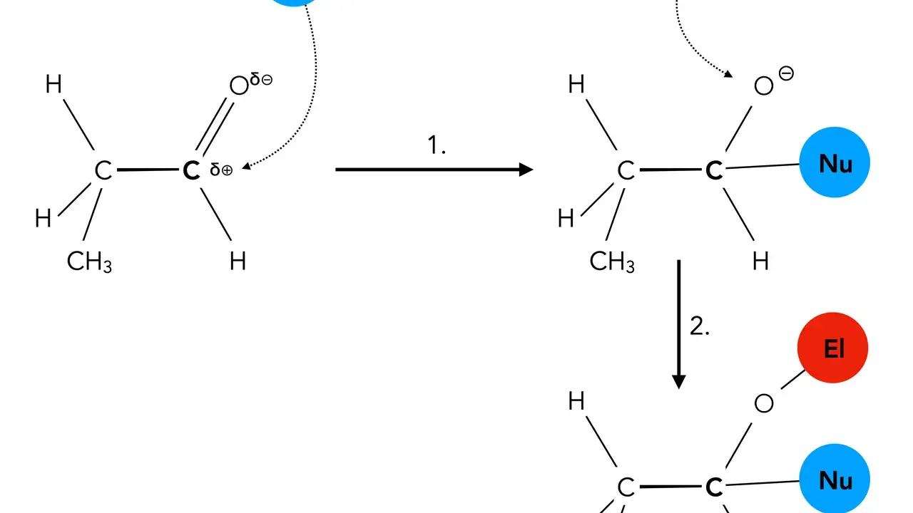 Schema zeigt eine nukleophile Addition: Ein Nukleophil (Nu) greift ein Carbonylkohlenstoffatom an, gefolgt von der Anlagerung eines Elektrophils (El).