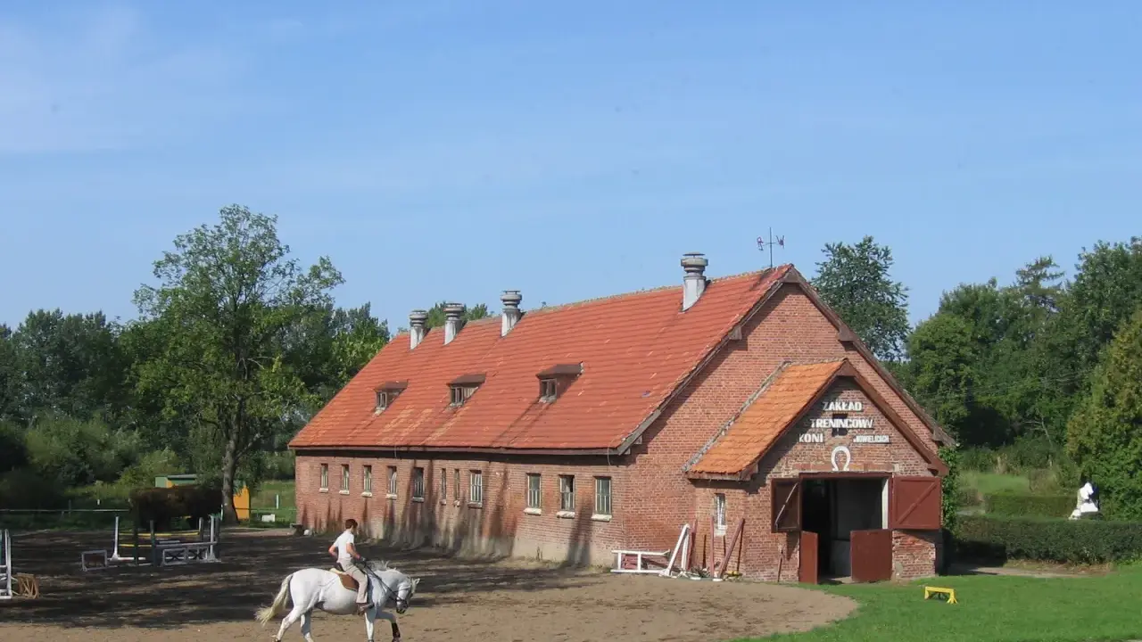 Stadniny koni w Polsce: Gdzie historia spotyka jeździecką pasję?