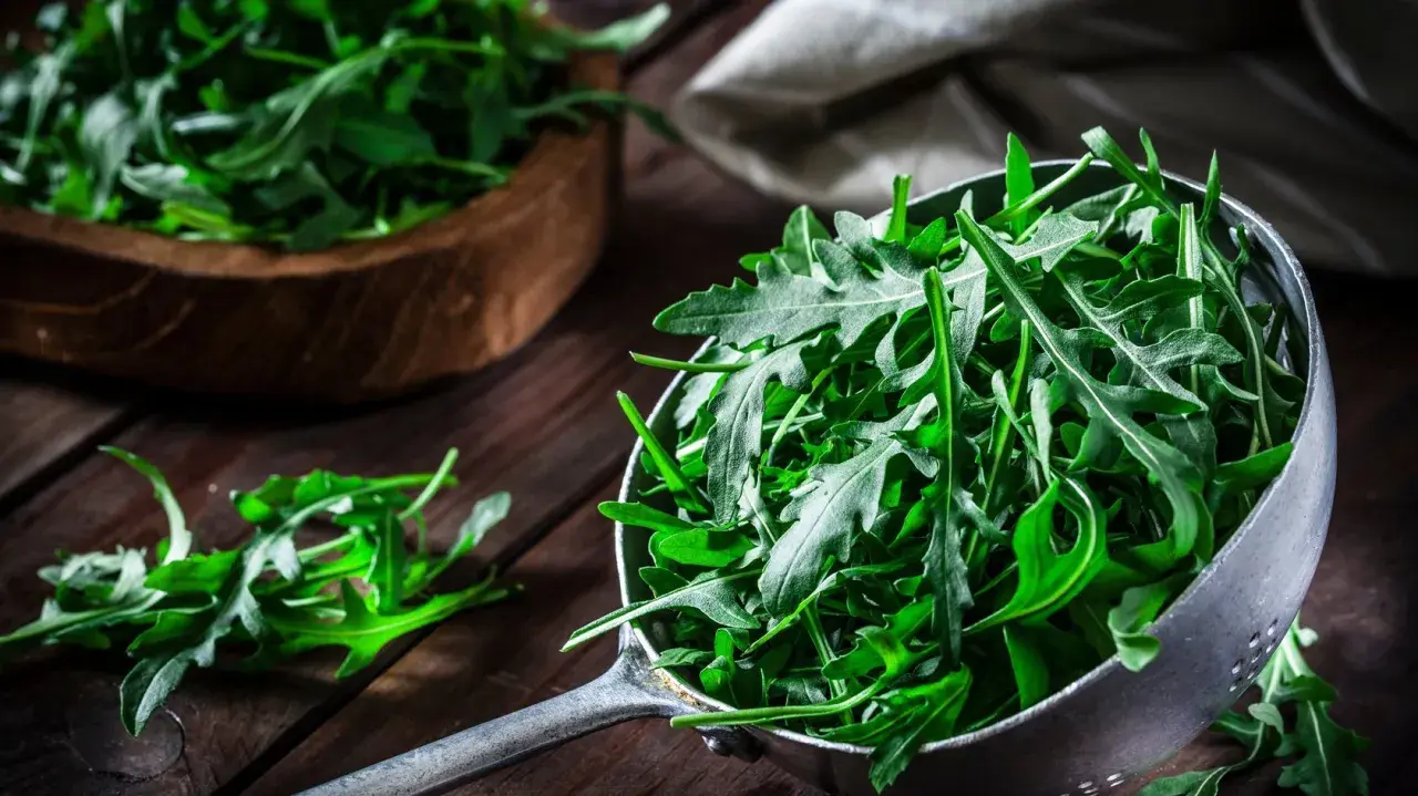 Frischer Rucola in einem Sieb, bereit für eine gesunde Mahlzeit. Daneben ein Holzschälchen mit mehr Rucola.