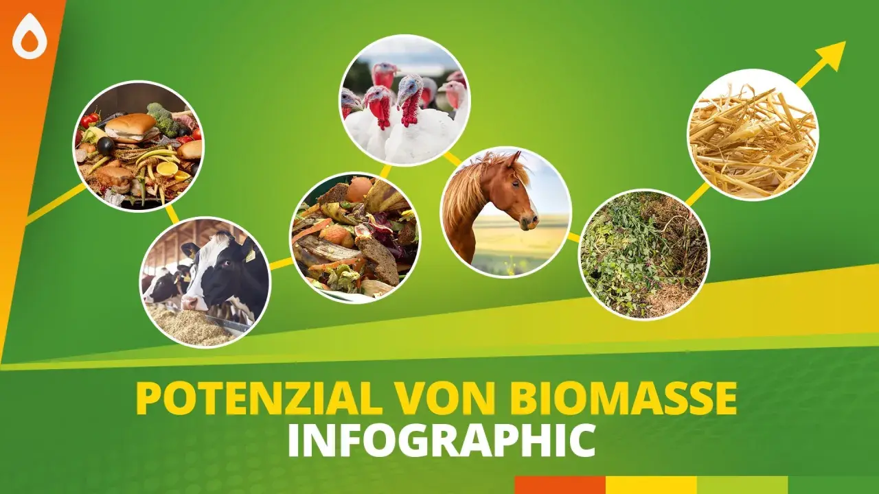 Biomasse Beispiele: Kühe, Pferde, Truthähne, Essensreste, Pflanzen und Stroh zeigen das Potenzial von Biomasse.