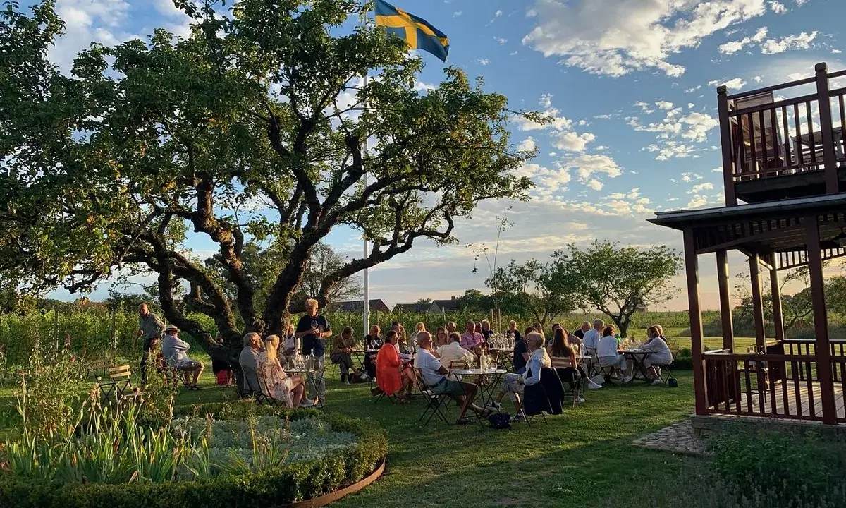 Människor samlas för en festlig middag på kullabergs vingård under en svensk flagga.