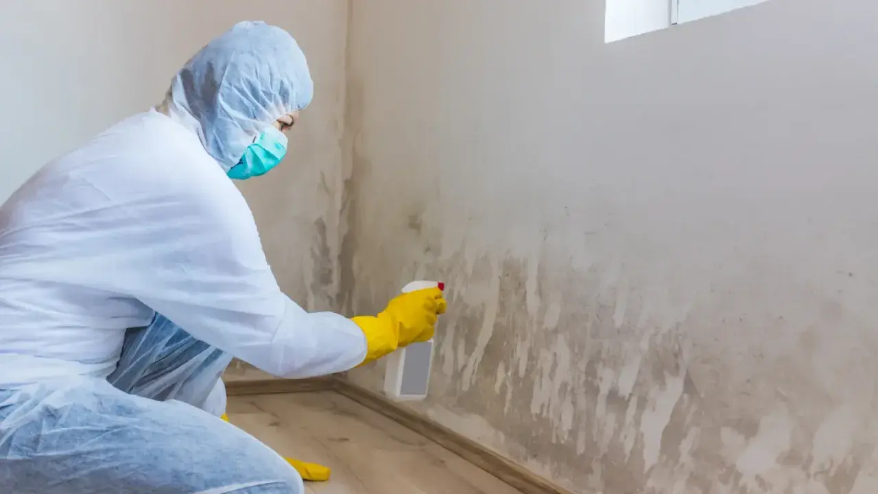 Persona con traje protector y guantes amarillos aplica spray a pared con moho, buscando remedios caseros para quitar el moho de las paredes.
