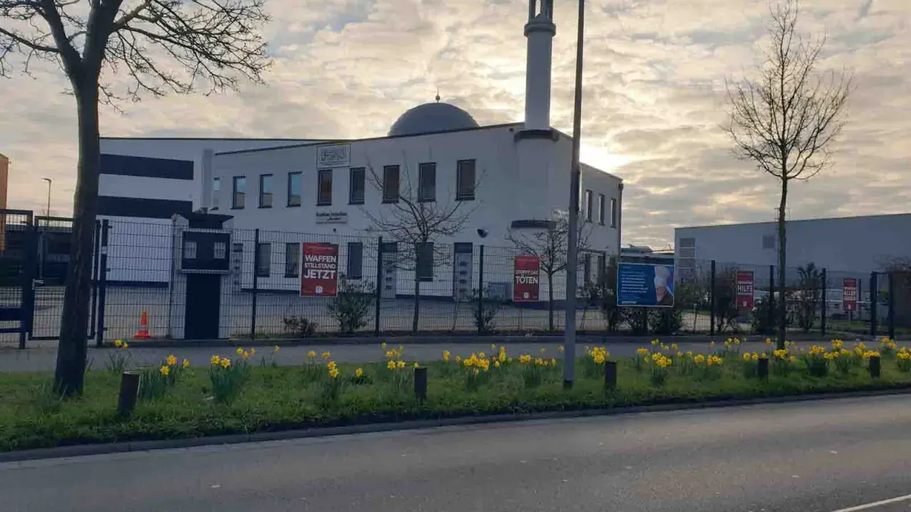 Moderne Subhan Moschee mit Minarett und Kuppel, umgeben von einem Zaun mit Schildern. Gelbe Narzissen blühen davor.