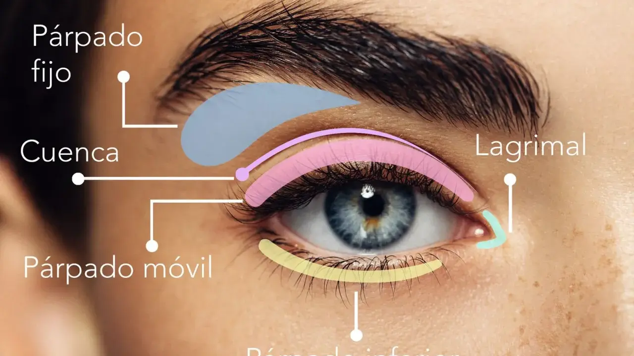 Diagrama de ojo con áreas coloreadas: párpado fijo, cuenca, párpado móvil, lagrimal y párpado inferior.