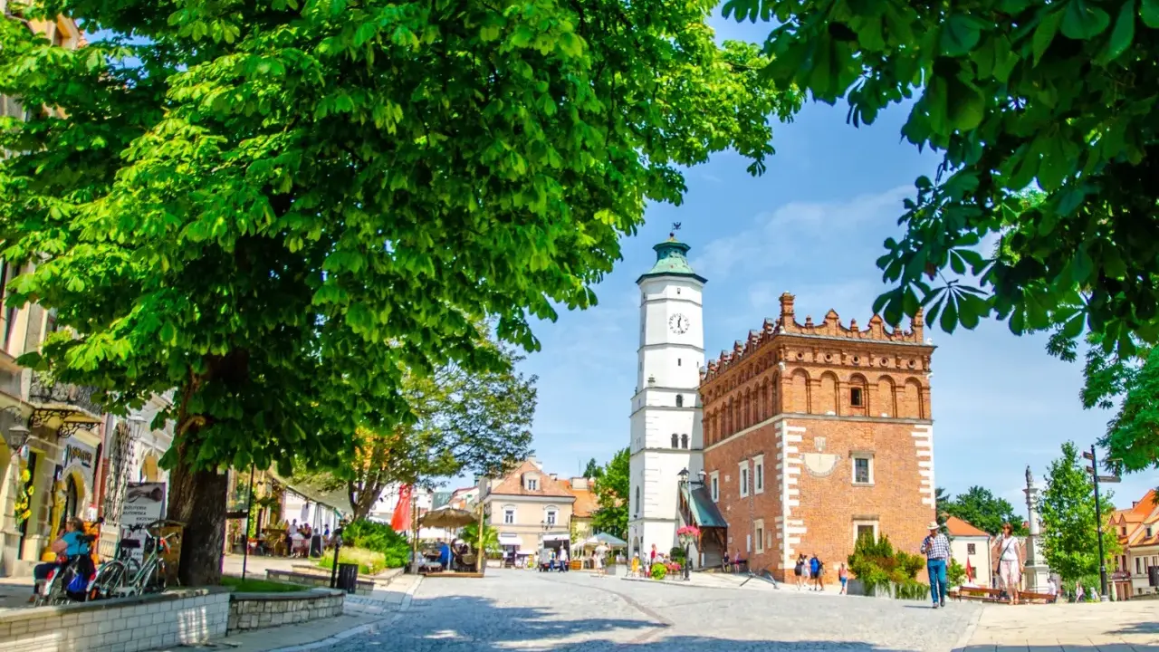 Rynek w Sandomierzu z ratuszem i wieżą zegarową, otoczony drzewami i kamienicami.