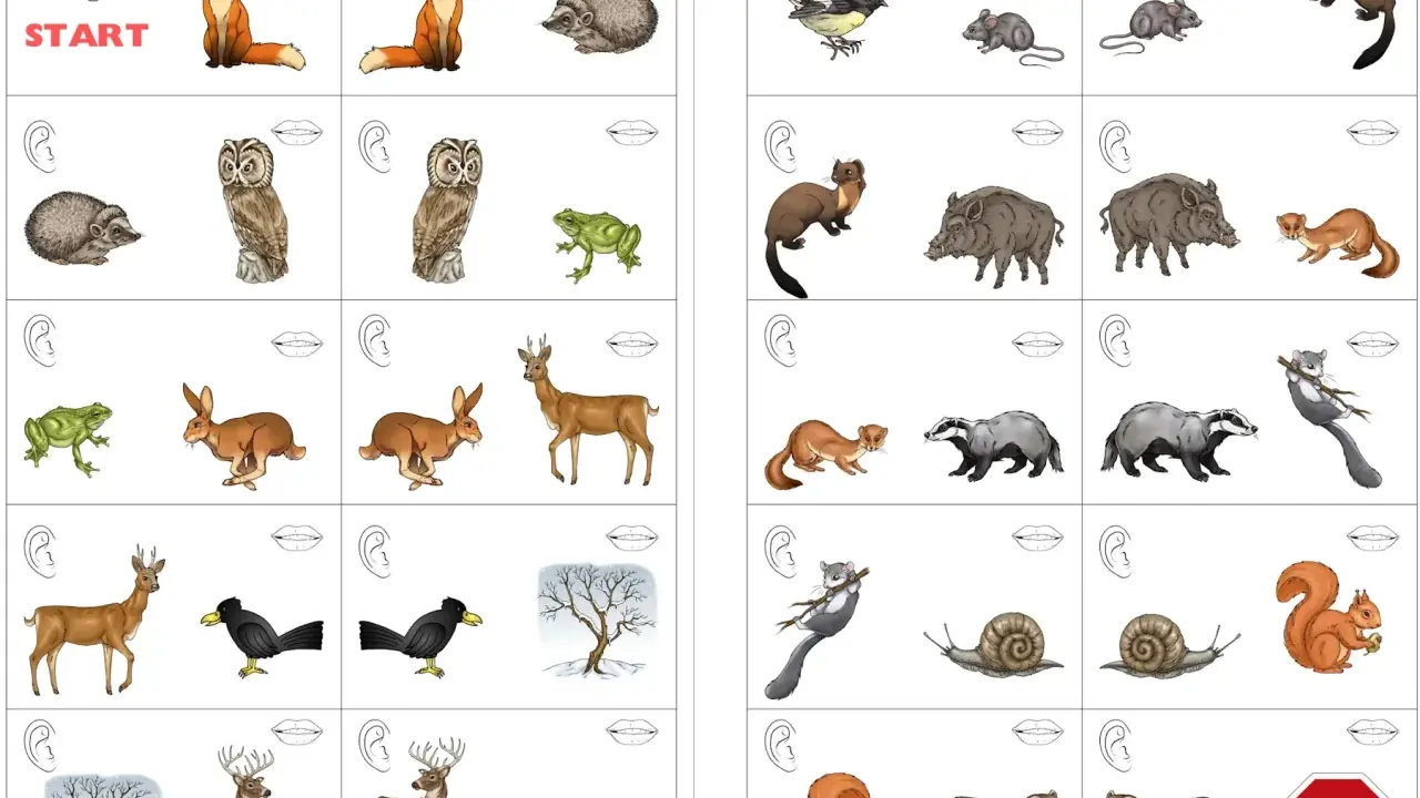 Waldtiere Vorlage zum Ausdrucken: Füchse, Igel, Eulen, Frösche, Hasen, Rehe, Wildschweine, Marder, Dachse, Eichhörnchen, Schnecken, Mäuse, Vögel, Hirsche, Bäume im Schnee.