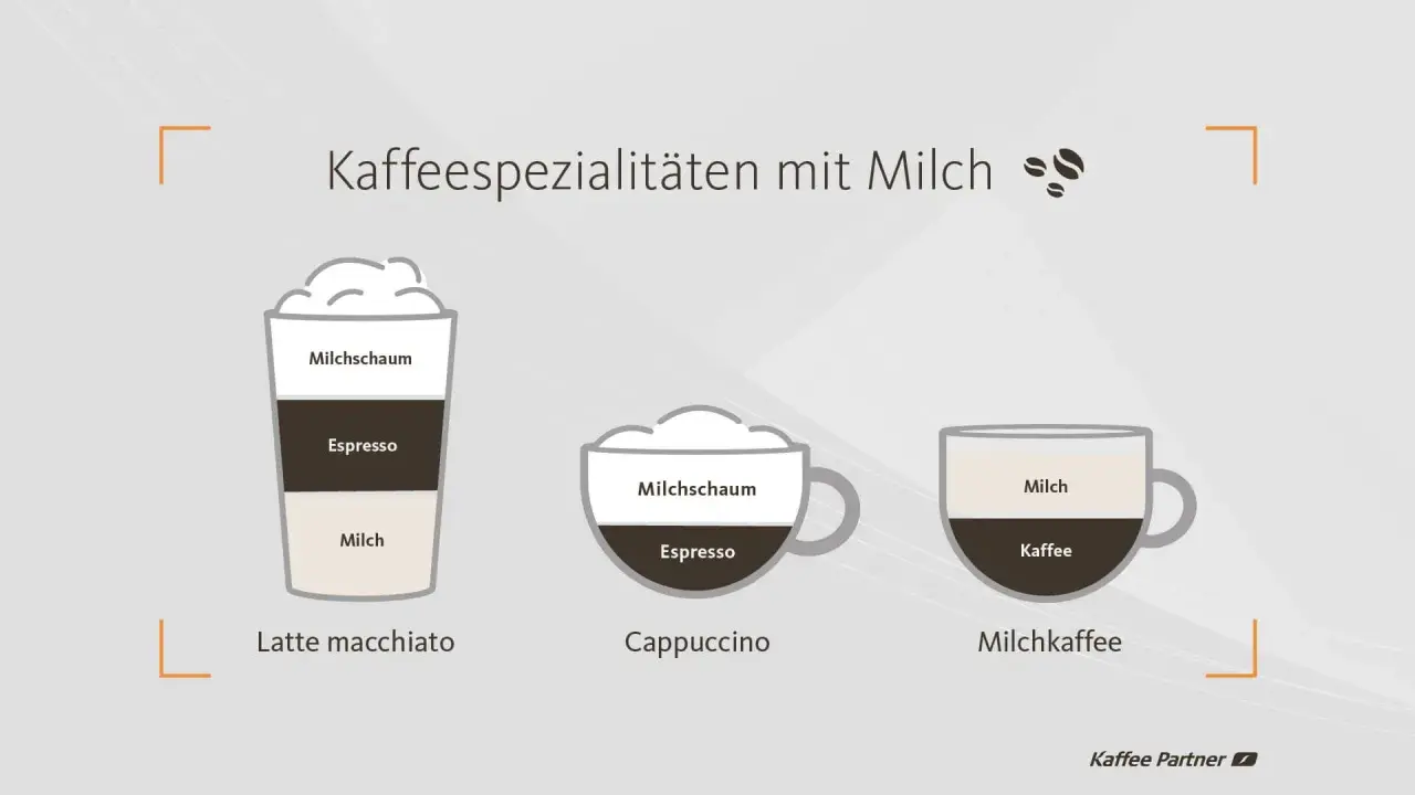 Latte macchiato, Cappuccino und Milchkaffee: drei Kaffeespezialitäten mit Milch, die sich in Schichten und Zubereitung unterscheiden.