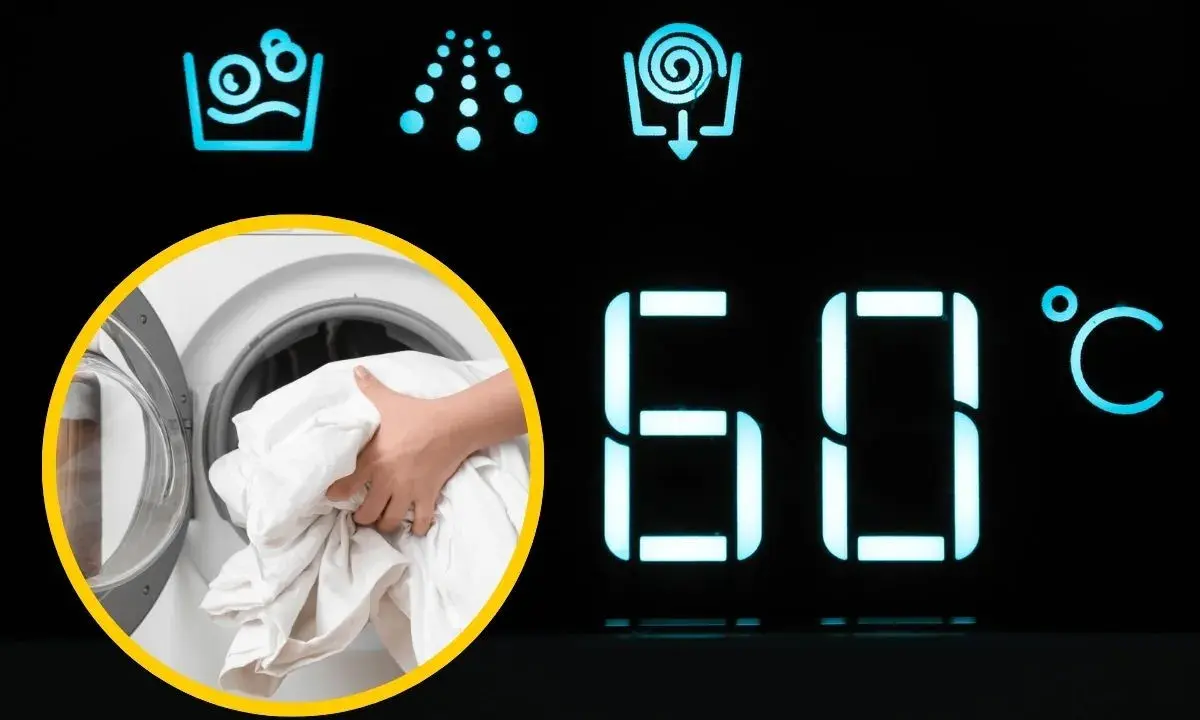 W jakiej temperaturze prać bawełnę? Na wyświetlaczu pralki 60°C, a ręka wkłada białe pranie.