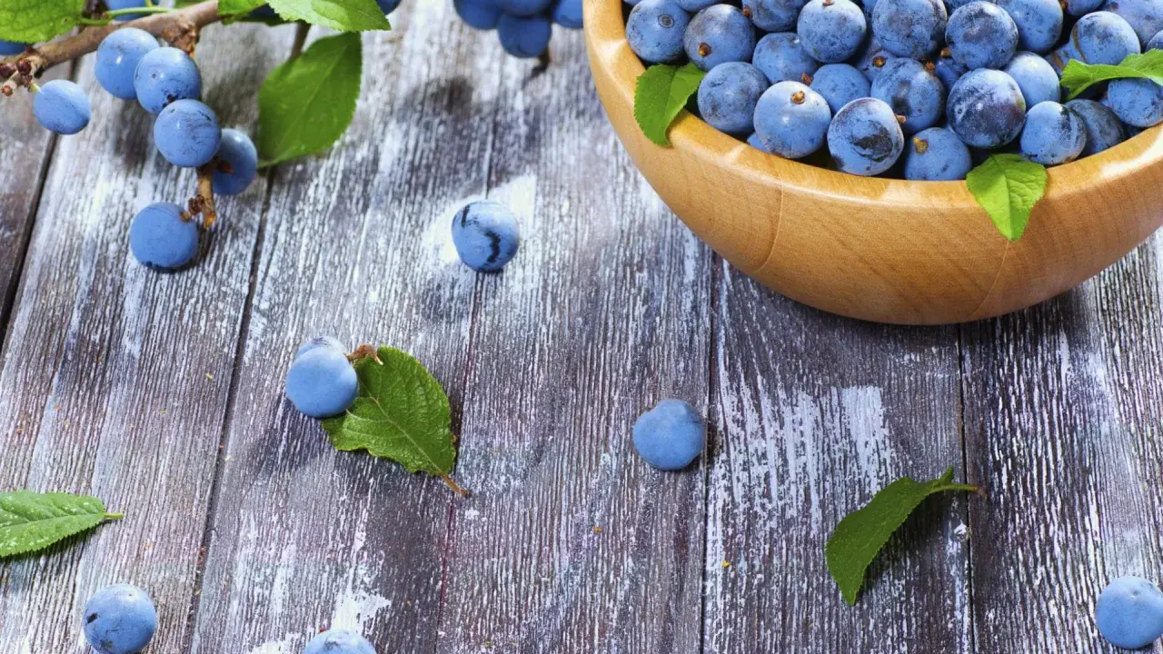 Frische Schlehen in einer Holzschale und auf rustikalem Holztisch, bereit für leckere Schlehen Rezepte.