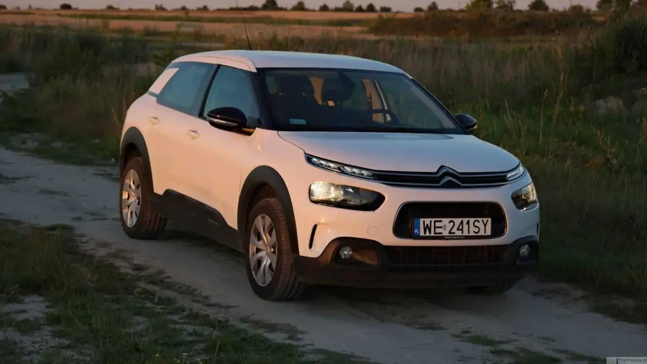 Biały Citroen Cactus na polnej drodze, w tle pole i zachodzące słońce.