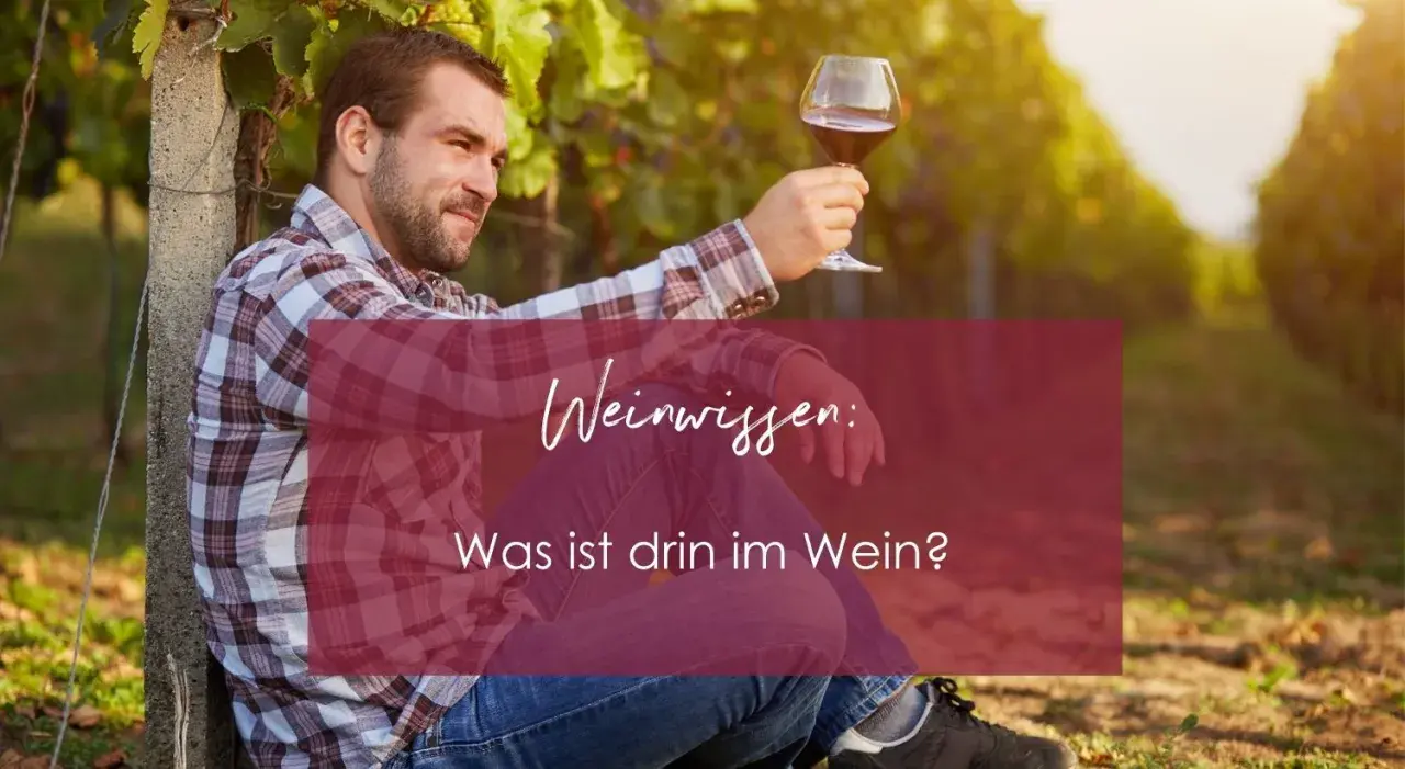Mann im karierten Hemd hält Weinglas in Weinberg. Text: "Weinwissen: Was ist drin im Wein?" - die wichtigsten wein zutaten.
