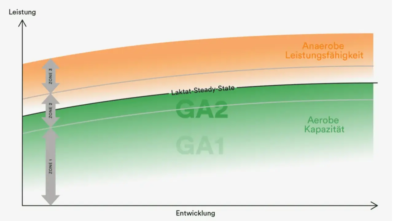 Diagramm zeigt Leistungszonen: GA1 (aerobe Kapazität), GA2 (Laktat-Steady-State) und anaerobe Leistungsfähigkeit. Zone 2 ist der Bereich zwischen GA1 und dem Laktat-Steady-State.