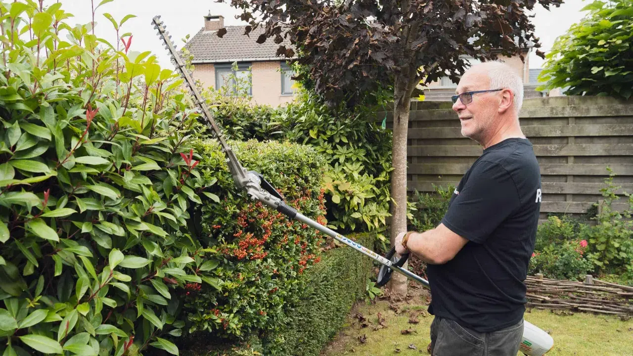 Un homme utilise un taille-haie pour tailler une haie verte et luxuriante, parfaite pour savoir quand tailler les haies.