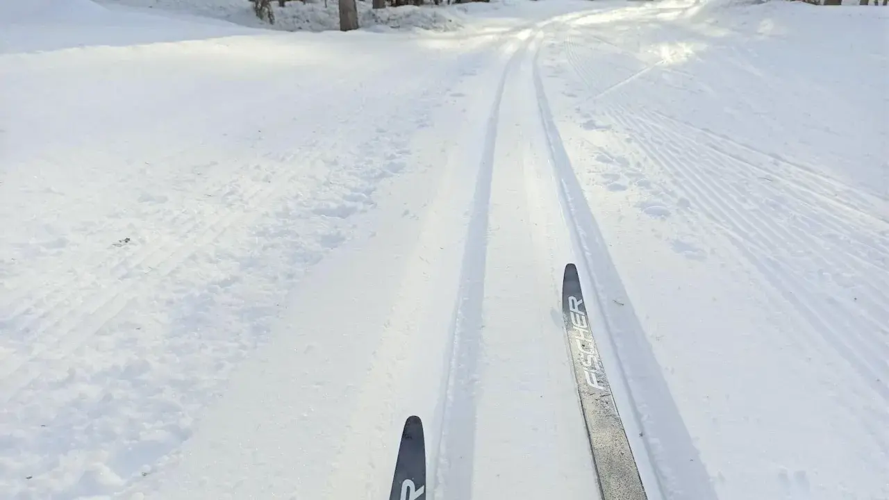 Färska skidspår i snön, redo för skidåkning i Luleå. Solen lyser genom träden och skapar ett vackert vinterlandskap.