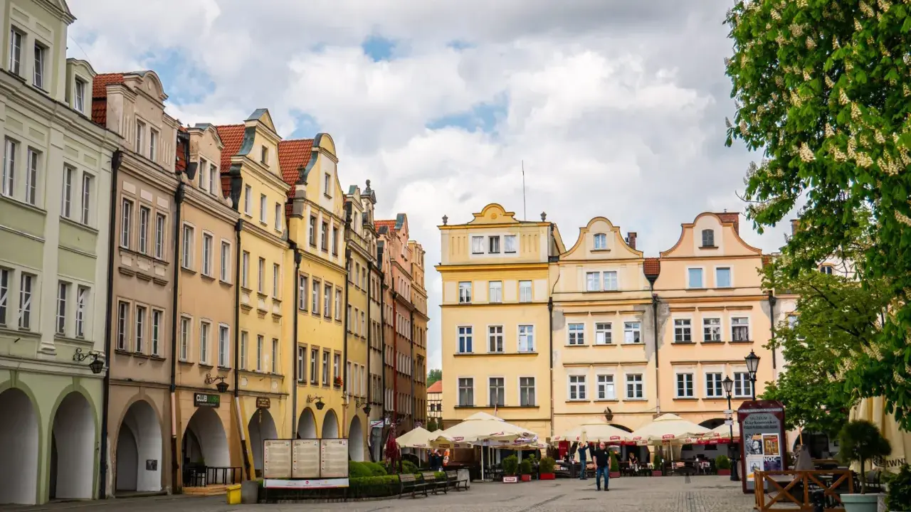 Kolorowe kamienice tworzą malowniczy **Jelenia Góra rynek**. Wiosną kwitnące drzewo dodaje uroku.