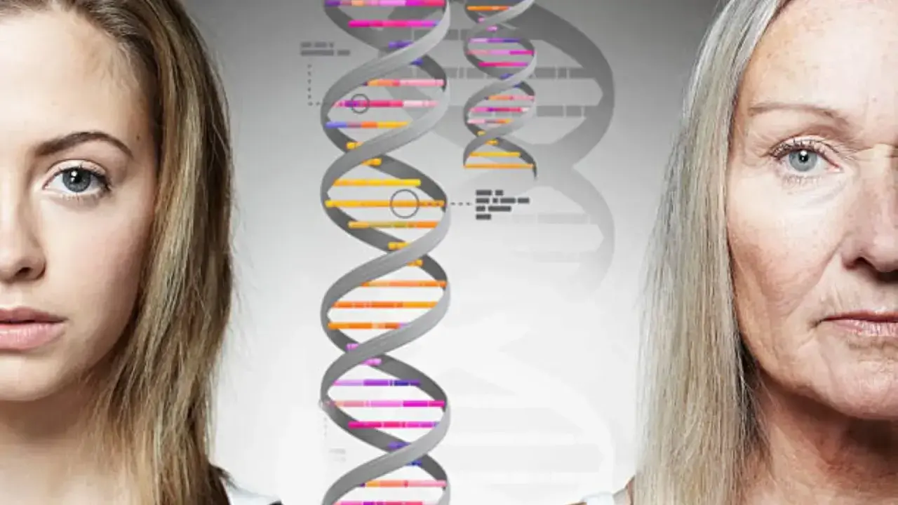 Mitad de rostro de joven y anciana, con cadenas de ADN en el centro. Los genes se heredan, mostrando la continuidad a través del tiempo.