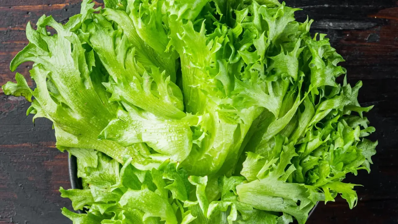 Une belle salade batavia, fraîche et croquante, prête à être dégustée. Ses feuilles vertes vives promettent une texture légère et une saveur délicate.