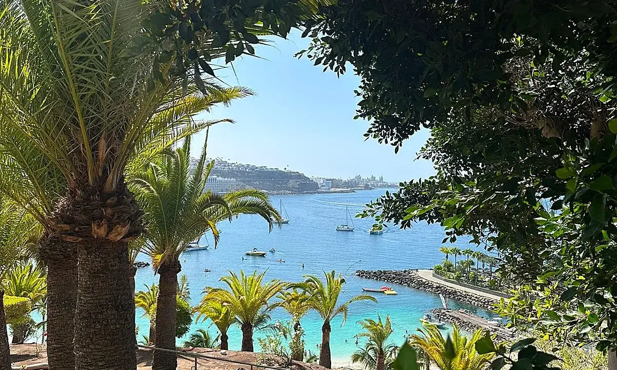 Palmeras en primer plano, vista de una bahía azul con barcos y una playa, ideal para unas vacaciones con niños en la playa.