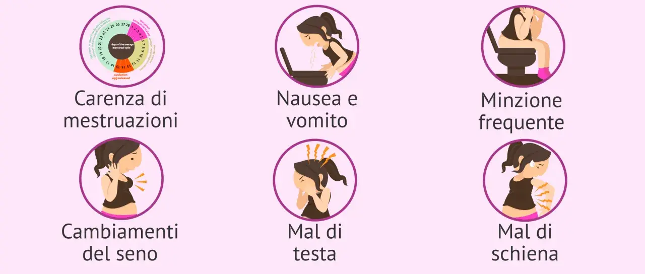 Sintomi di gravidanza: assenza di mestruazioni, nausea, minzione frequente, cambiamenti del seno, mal di testa e mal di schiena.