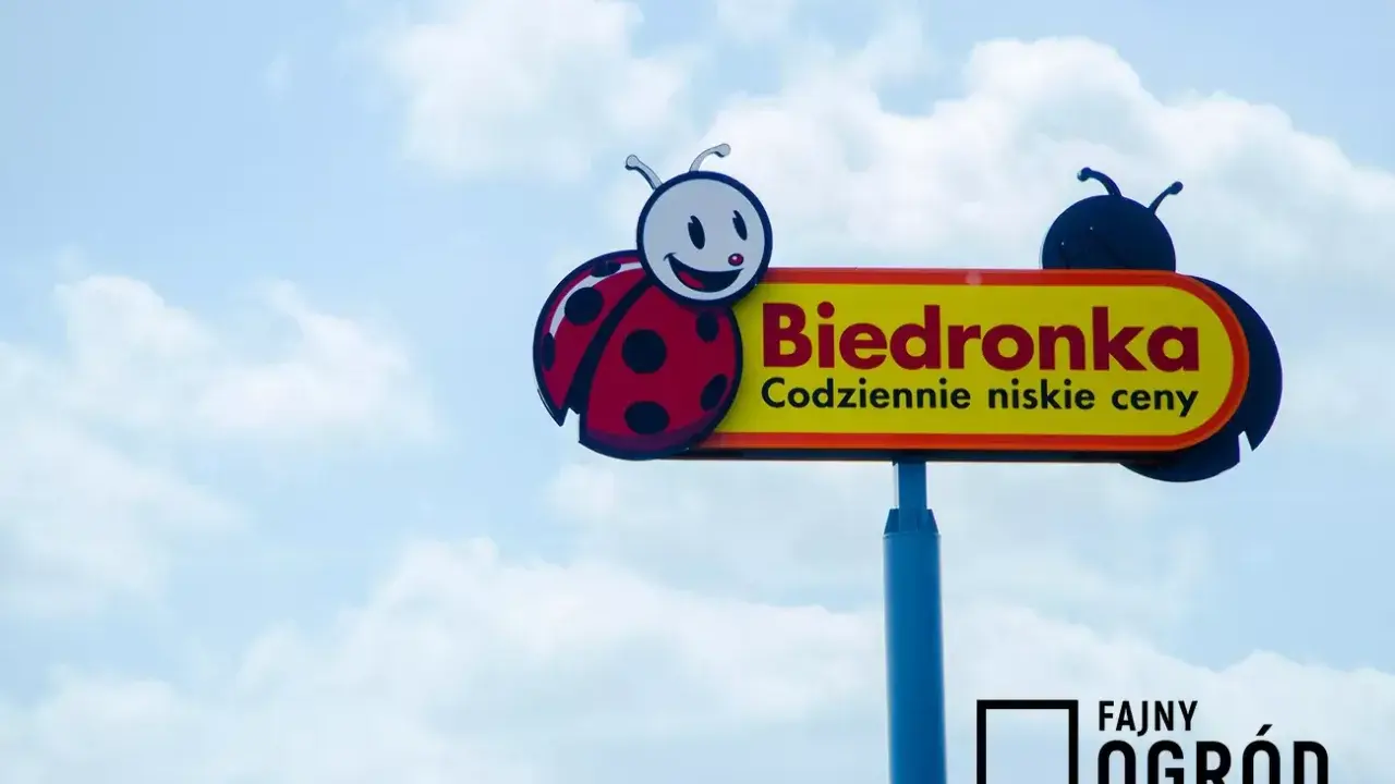 Kinder Niespodzianka w Biedronce: Cena, promocje i triki na oszczędności