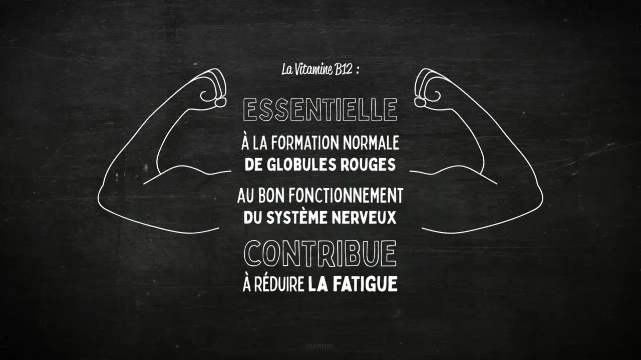 La vitamine B12, essentielle pour les globules rouges et le système nerveux, contribue à réduire la fatigue. Un effet immédiat pour plus d'énergie !