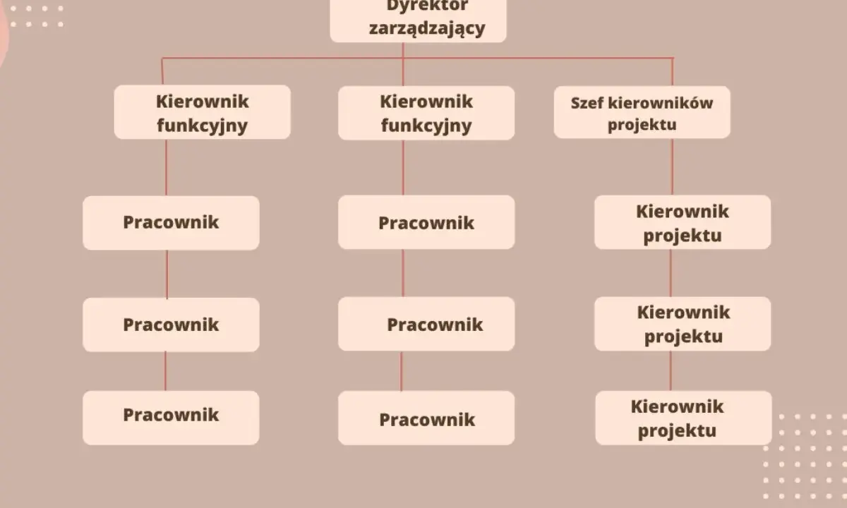 Schemat przedstawia strukturę organizacyjną firmy: Dyrektor zarządzający, kierownicy funkcyjni i projektowi oraz pracownicy.