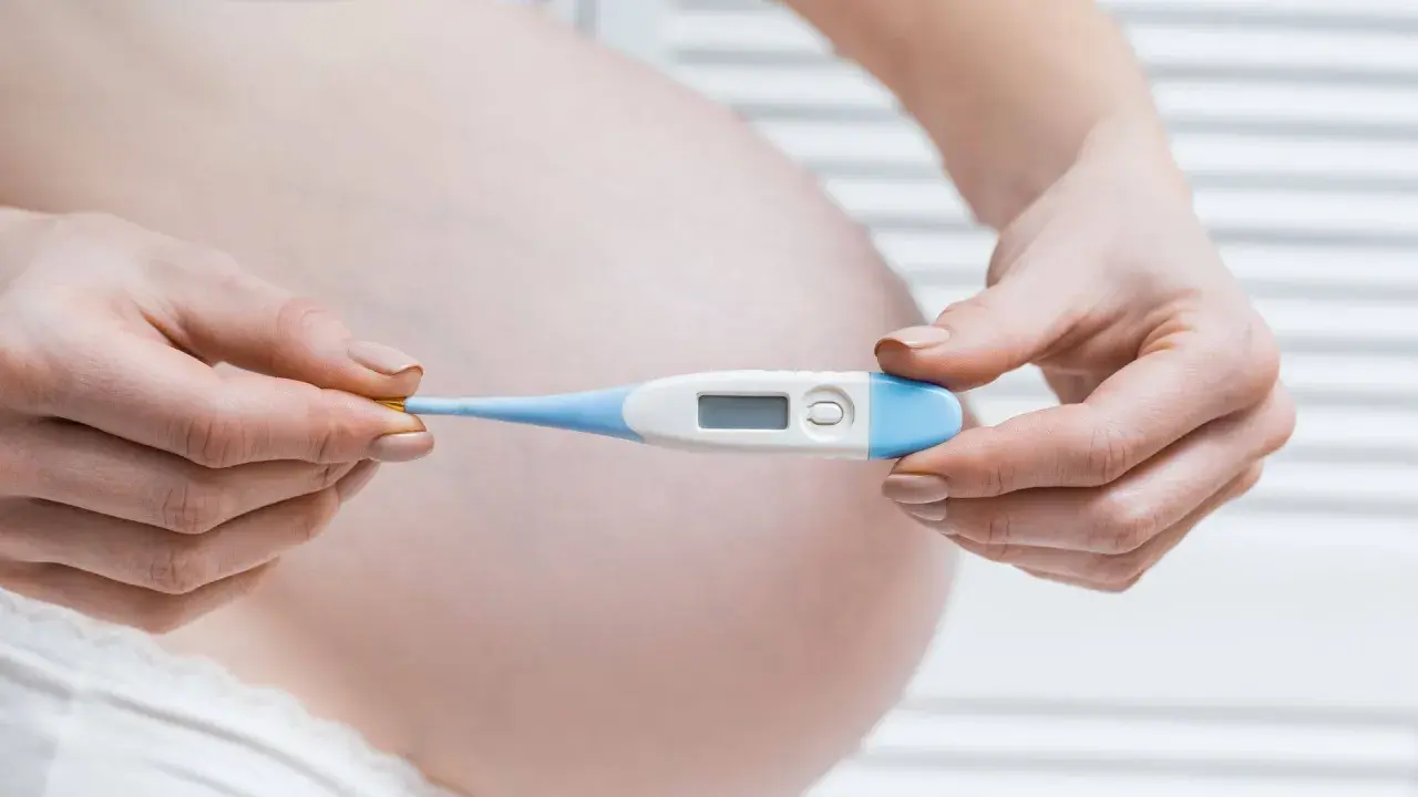 Mani di donna incinta tengono un termometro digitale. Monitorare la temperatura è importante per escludere la febbre in gravidanza.