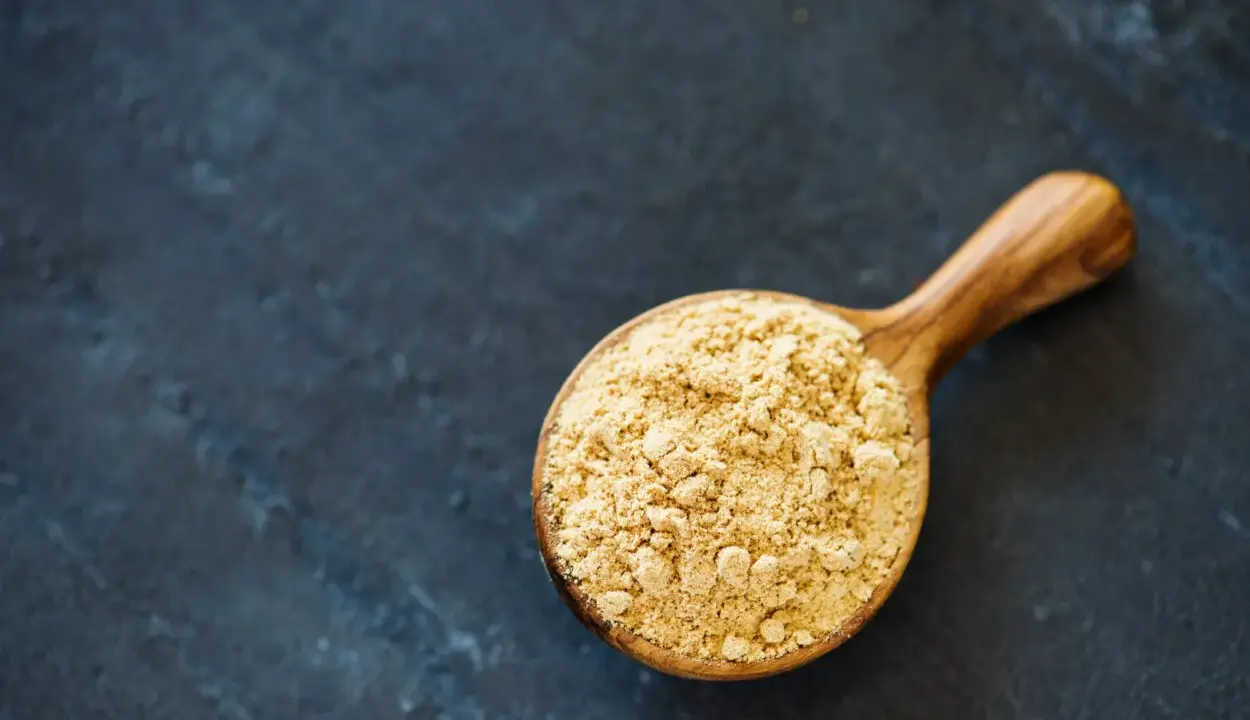 Cuillère en bois remplie de poudre de maca, évoquant ses nombreux bienfaits pour la santé et l'énergie.