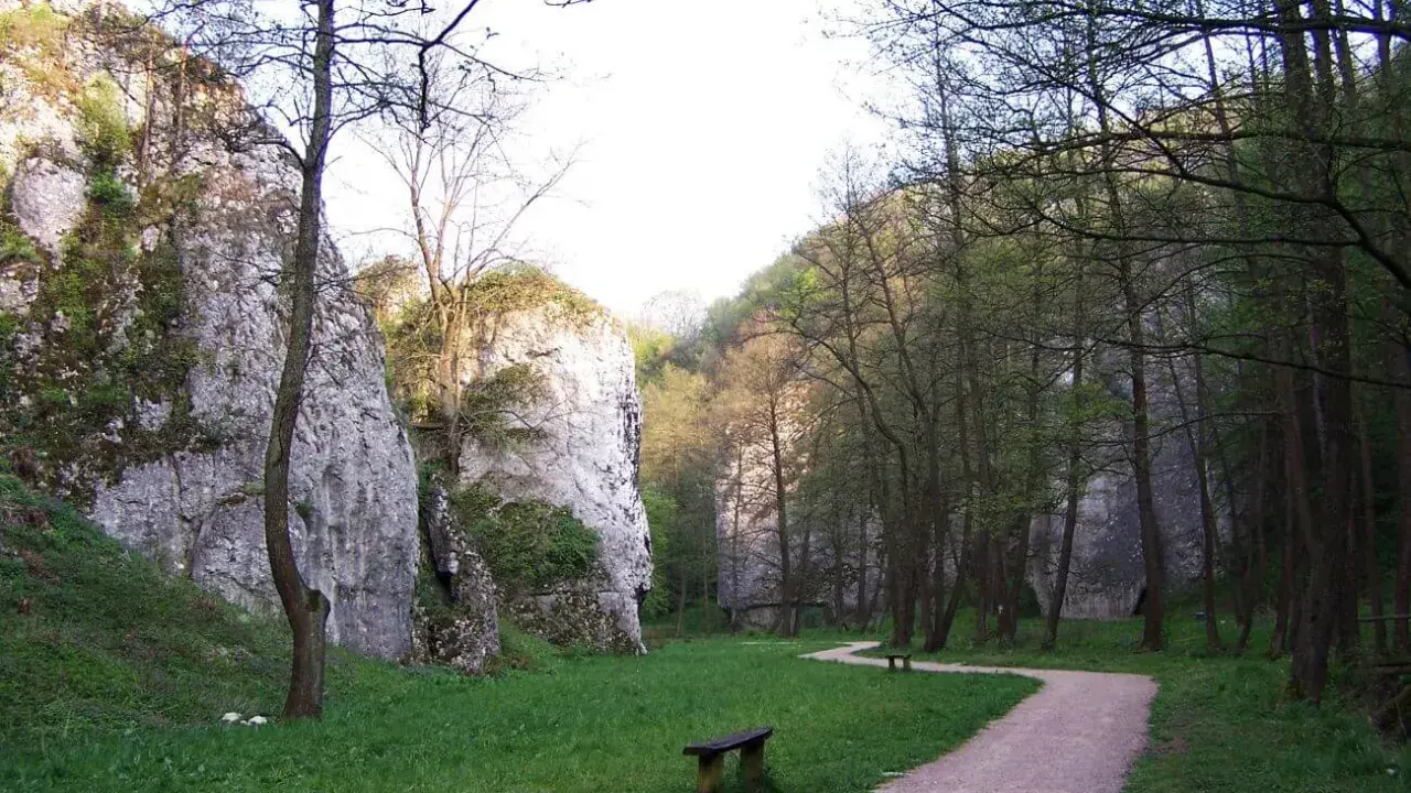 Ścieżka w Dolinie Mnikowskiej prowadzi przez zieloną łąkę, otoczoną skalnymi ścianami i drzewami.