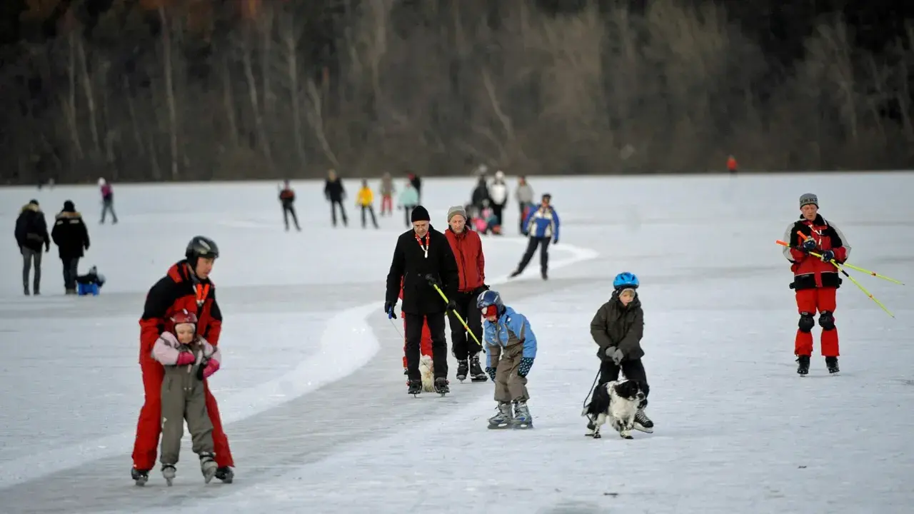 Människor åker norrviken skridskor på en isbelagd sjö. En pappa hjälper sitt barn, en hund dras på isen, och andra njuter av vintersporten.