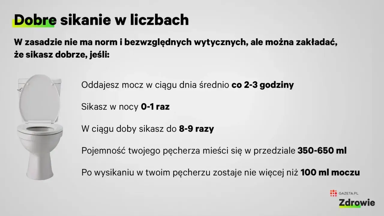 Ile razy dziennie powinno się sikać? W ciągu dnia średnio co 2-3 godziny, w nocy 0-1 raz. W sumie do 8-9 razy na dobę.