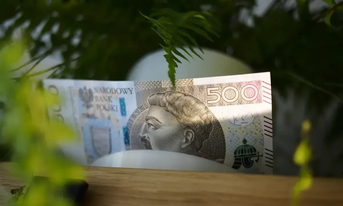 Pięćset złotych ukryte wśród zieleni. Może to początek oszczędzania na coś wyjątkowego, albo po prostu zasiedzenie w naturze z pieniędzmi.