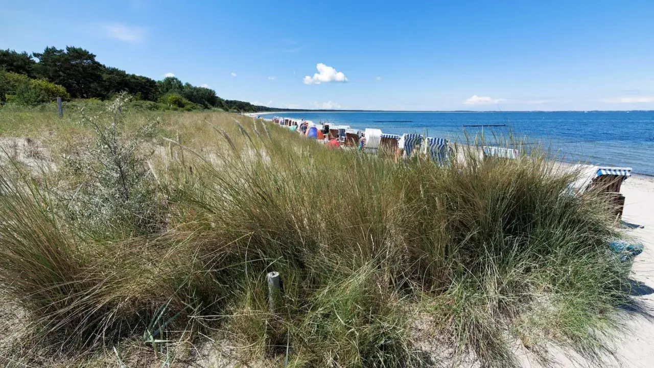 Strandgras und Strandkörbe am Meer. Ein ruhiger Ostsee Geheimtipp mit blauem Himmel und sanften Wellen.