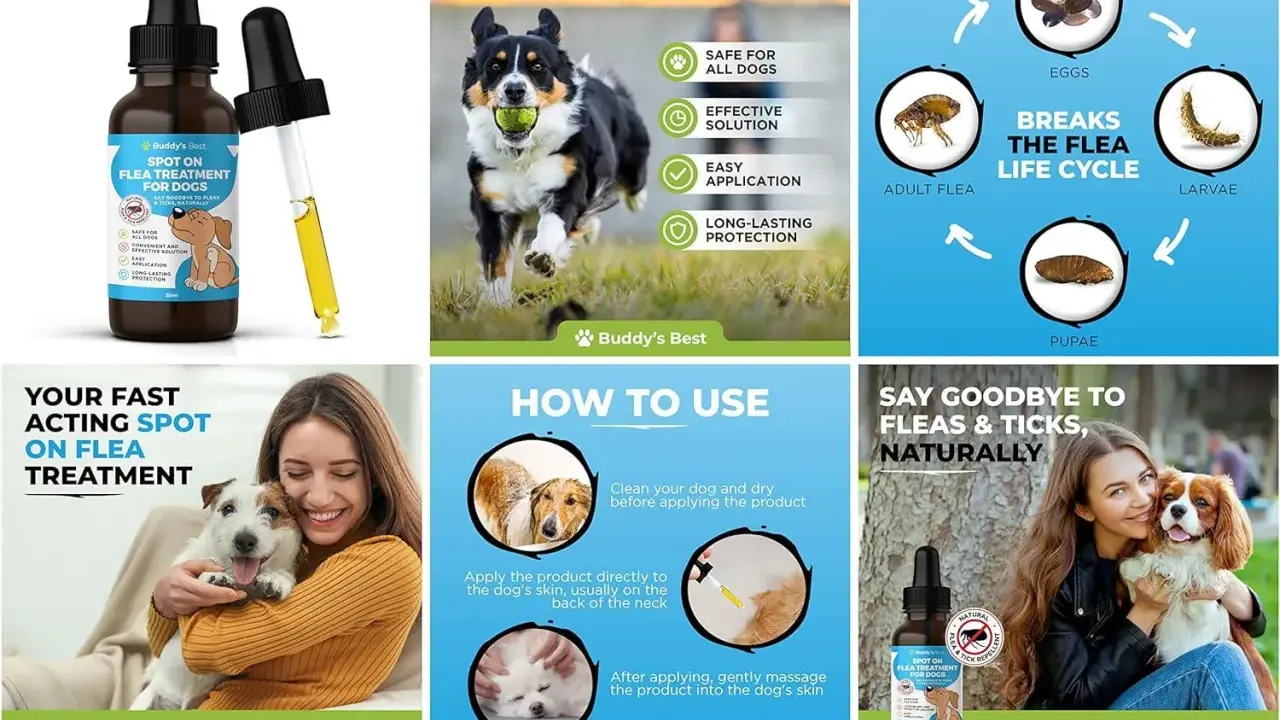 Une femme câline son chien, avec une bouteille de traitement anti puces naturel. Le produit est facile à appliquer et efficace.