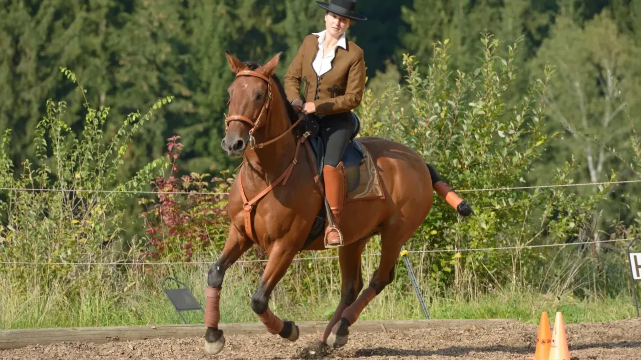 Reiterin in brauner Reitjacke und Hut auf einem braunen Pferd, das im Trab über den Reitplatz galoppiert. Ein ruhiges Bein beim Reiten ist zu sehen.