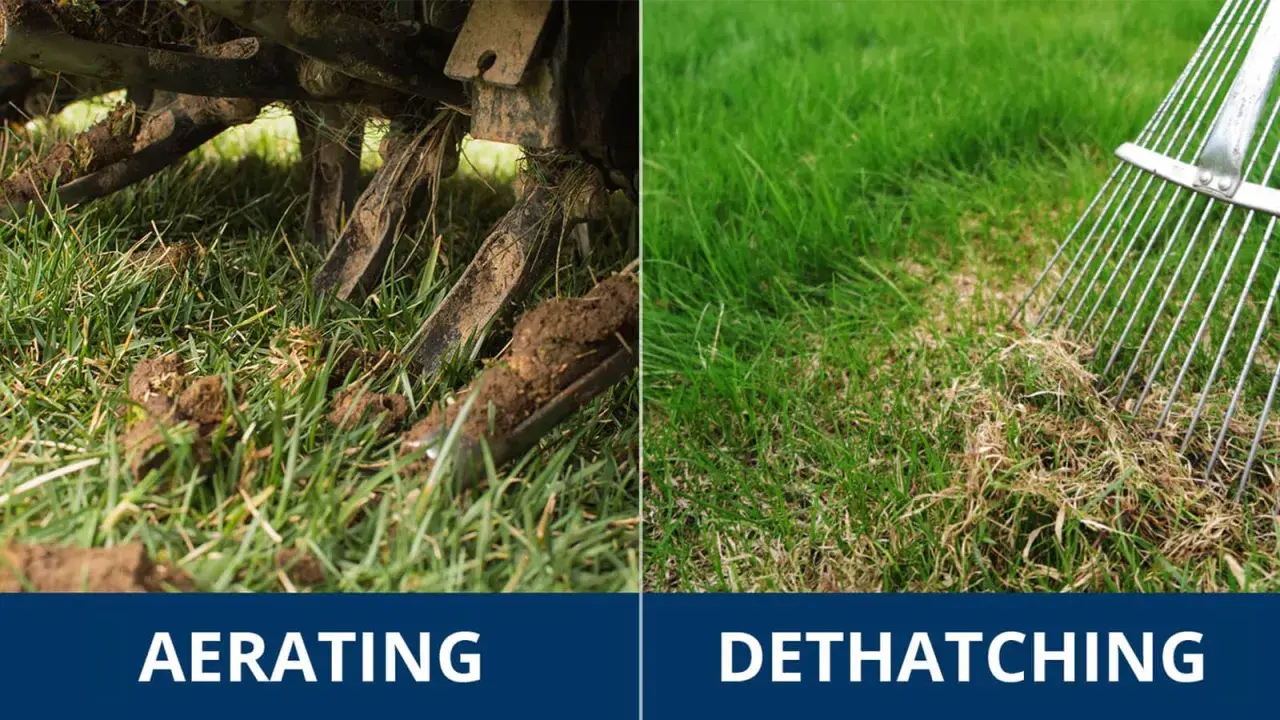 Left side shows aerating a lawn. Right side shows a rake removing thatch, which is a layer of dead grass and debris.