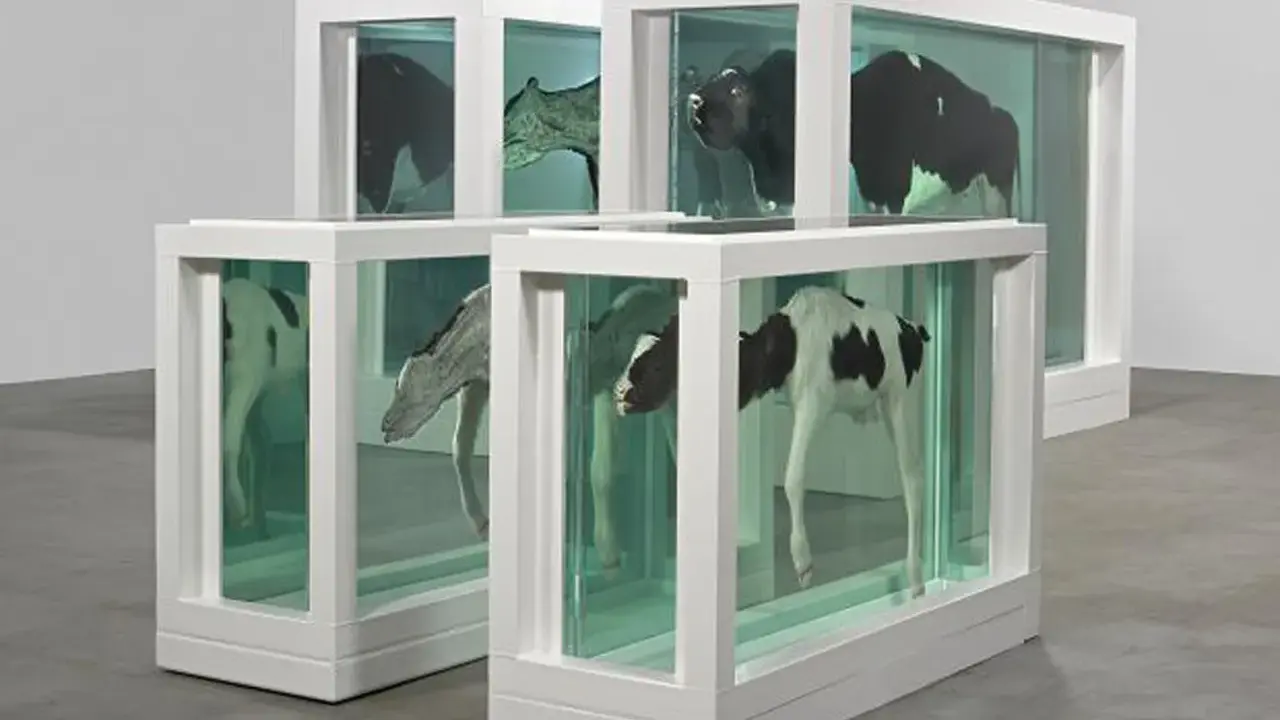 Vacas y terneros en tanques, una madre y su cría divididas por el arte.
