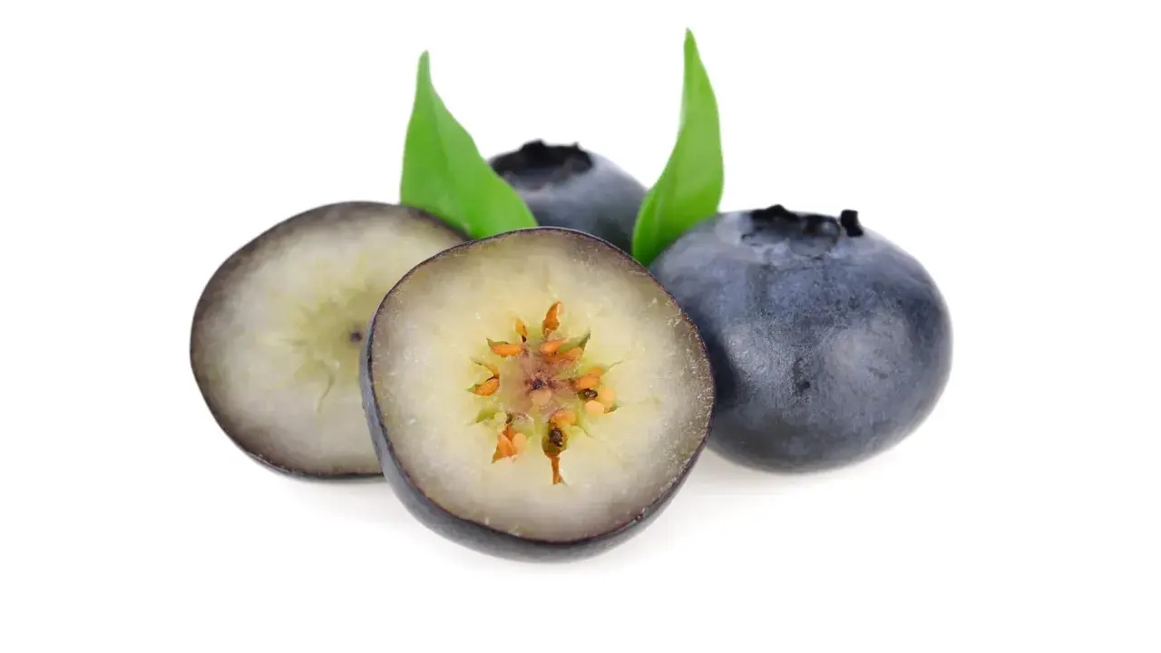 Frische Heidelbeeren, auch Blaubeeren genannt, mit grünen Blättern. Eine Blaubeere ist aufgeschnitten und zeigt ihr Inneres.