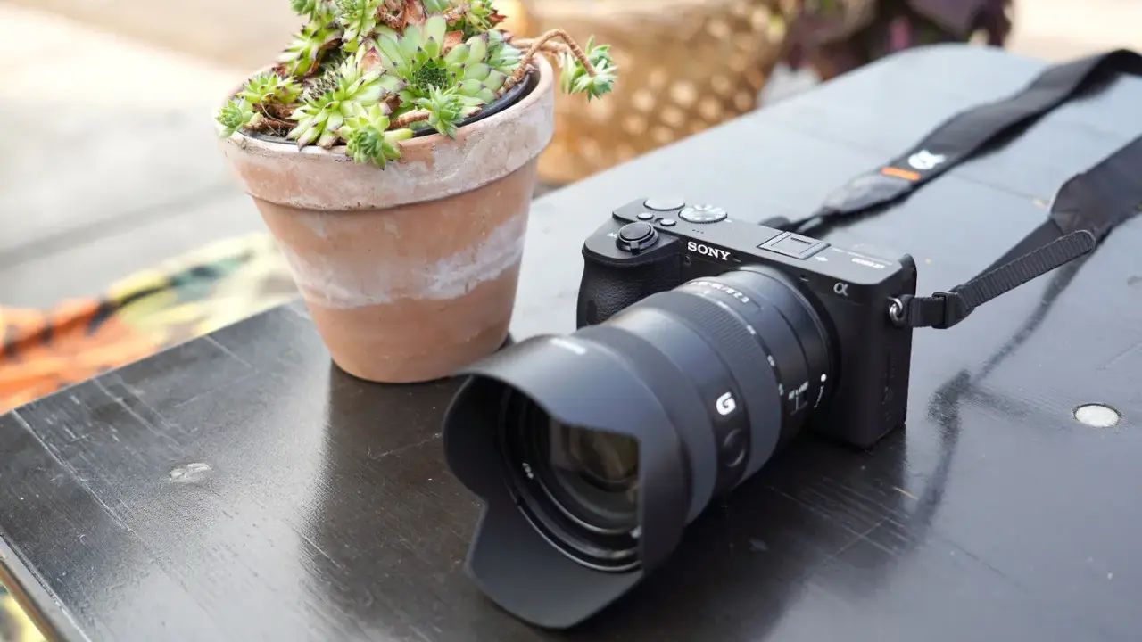 Cámara Sony a6600 con lente y suculenta en maceta sobre mesa de madera.