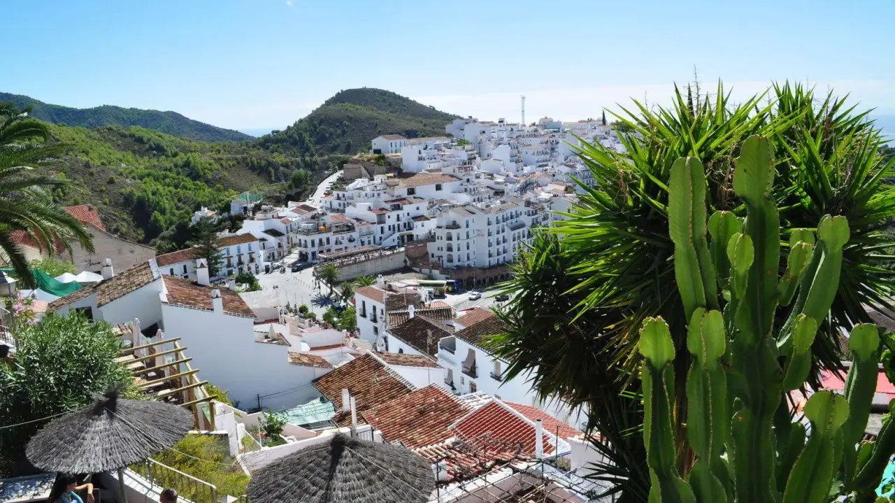 Vista panorámica de pueblos blancos andaluces, típicos de la costa, con montañas verdes al fondo. Un cactus gigante y palmeras en primer plano.