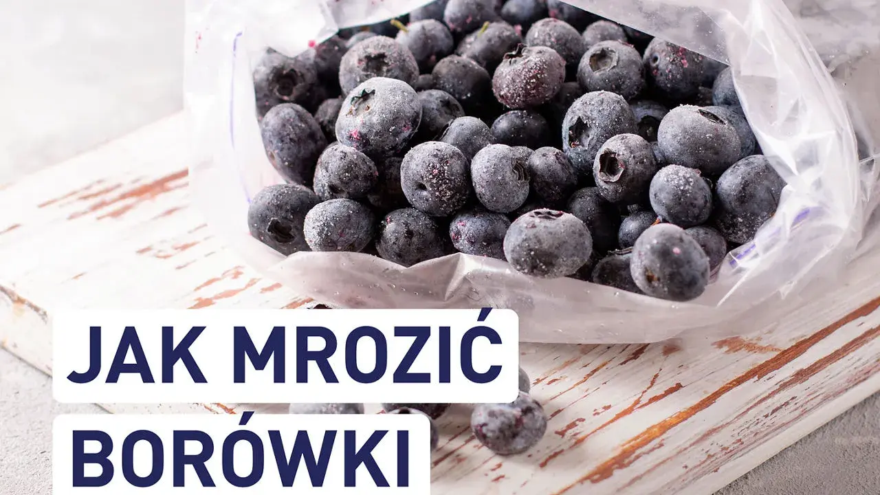 Mrożone borówki w woreczku. Dowiedz się, czy borówki można mrozić i jak to zrobić, by zachowały świeżość.