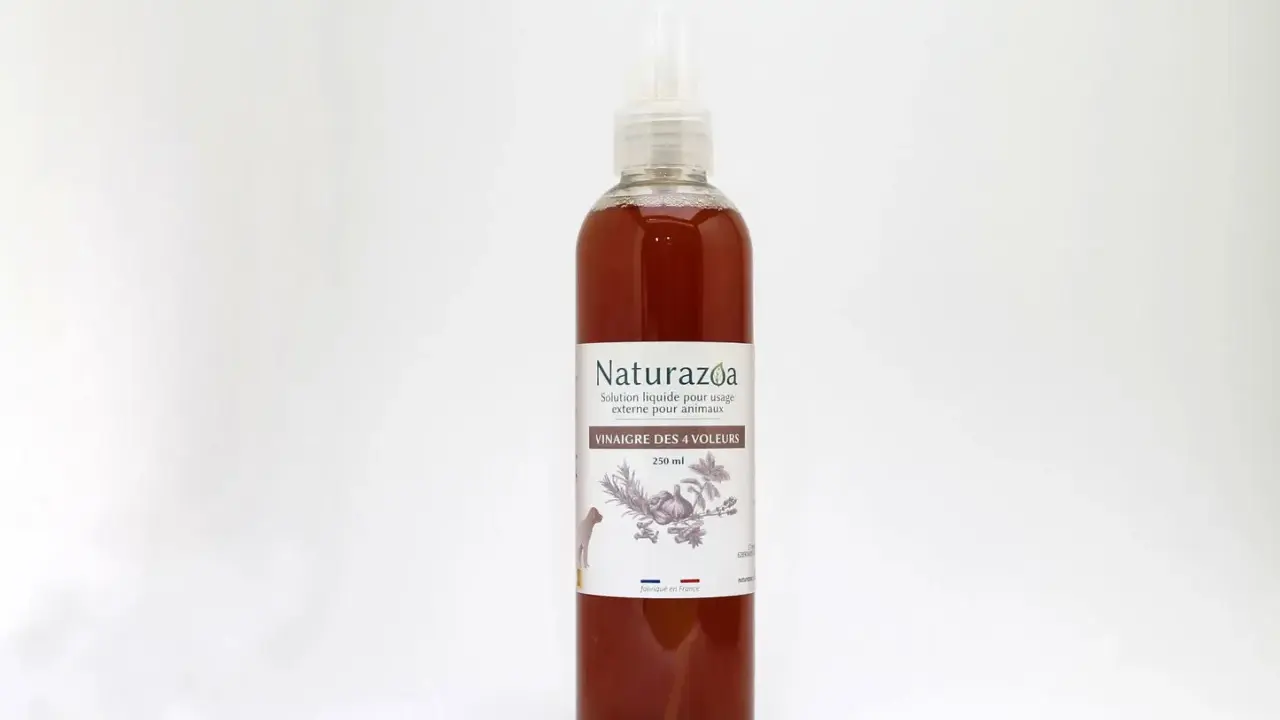 Bouteille de vinaigre des 4 voleurs, solution pour usage externe animal. Idéal pour le traitement puce chien vinaigre.
