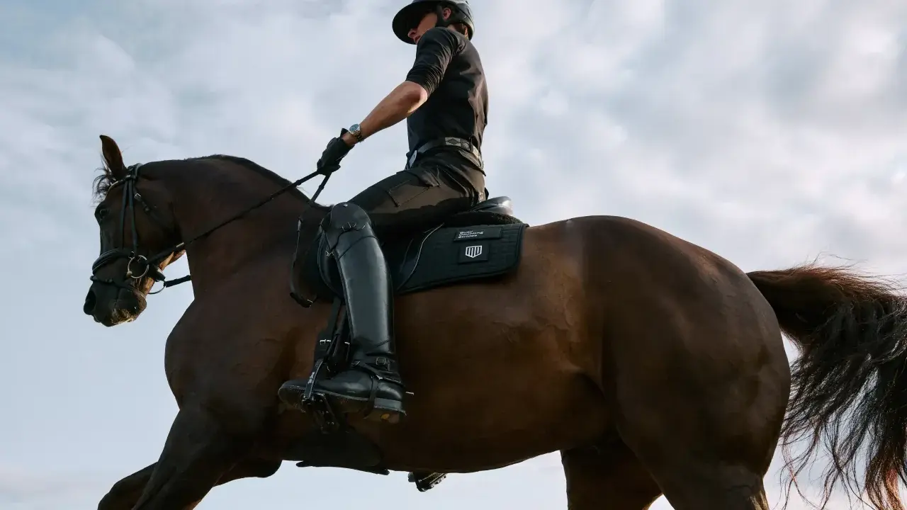 Reiter im schwarzen Outfit im Trab auf einem braunen Pferd, der Himmel ist bewölkt.