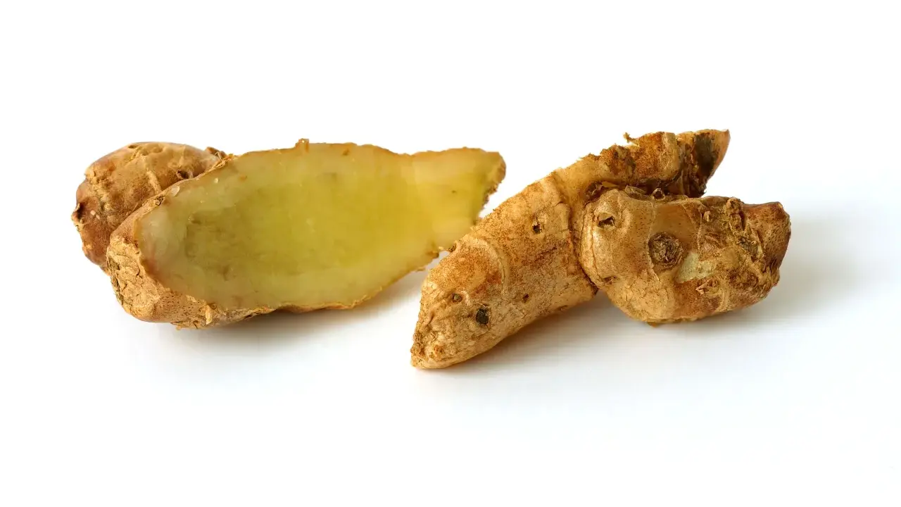 Racine de galanga coupée, révélant sa chair jaune pâle. Un ingrédient aux multiples galanga bienfaits pour la santé et la cuisine.
