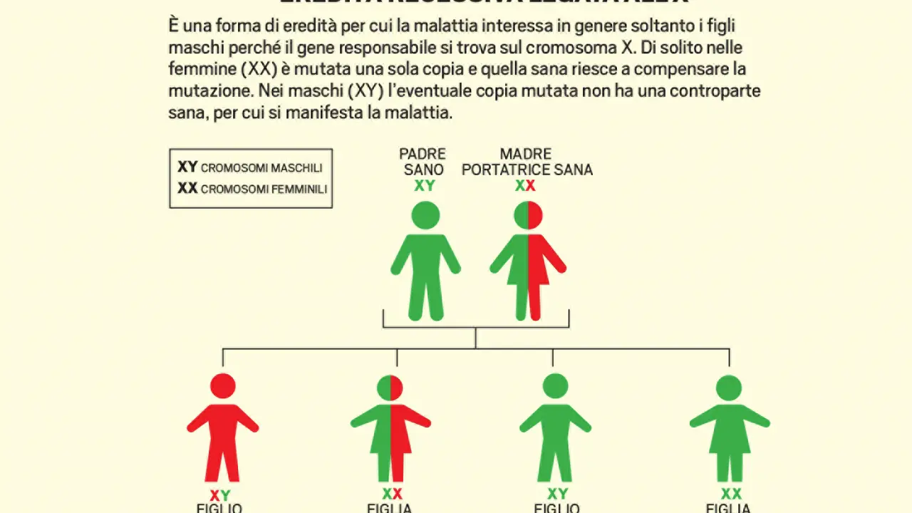 Albero genealogico che illustra le sindromi genetiche nei bambini, con un padre sano e una madre portatrice sana, mostrando la trasmissione del gene recessivo legato all'X.
