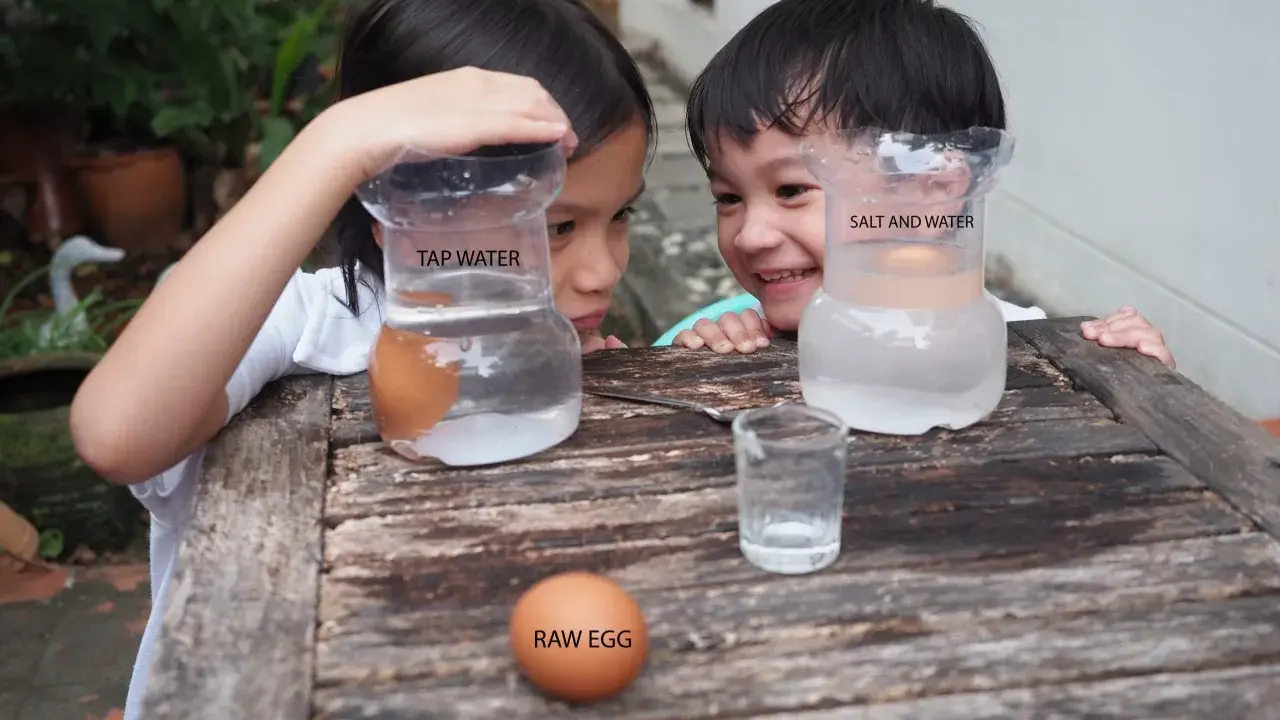 Niños observan un huevo flotando en agua salada y otro hundido en agua normal, parte de sus experimentos con agua.
