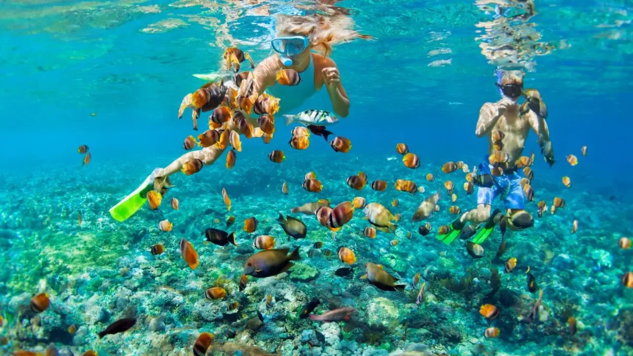 Två personer snorklar i klart, turkost vatten i Thailand, omgivna av en stim av färgglada fiskar.